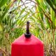 Biofuels and Their Role in the Energy Sector