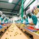 Food-Packaging-and-Manufacturing