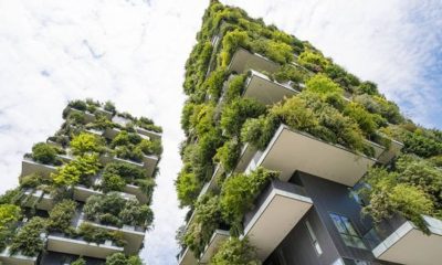 Green Building and Sustainable Architecture Innovations