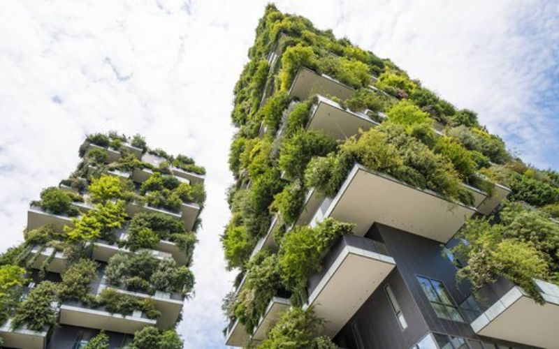 Green Building and Sustainable Architecture Innovations