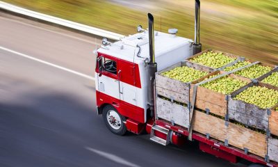 Supply-Chain-Careers-in-Food-Distribution