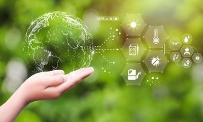Finding Your Green Career Navigating Sustainability & Environmental Management Executive Search Firms