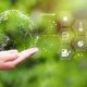 Finding Your Green Career Navigating Sustainability & Environmental Management Executive Search Firms