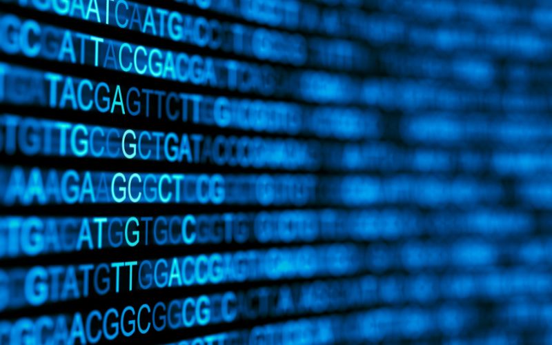 From Data to Discovery: Exploring the World of Bioinformatics Recruiting