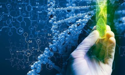 Navigating the Biotech Job Market A Guide to Biotechnology Industry Recruiters