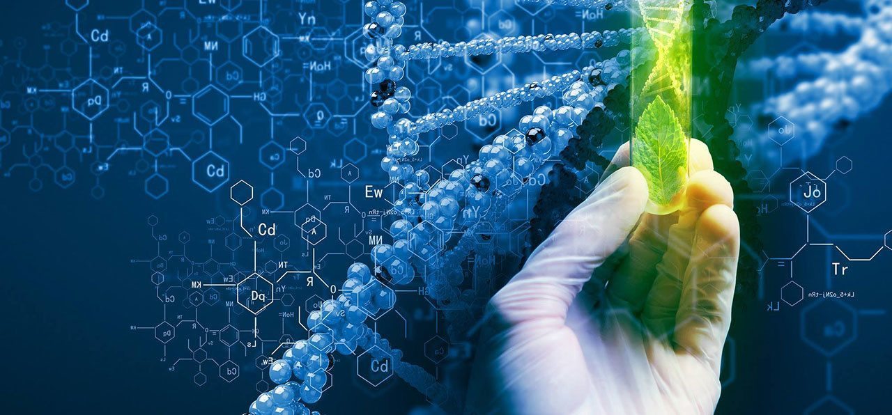 Navigating the Biotech Job Market A Guide to Biotechnology Industry Recruiters