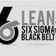 Unleashing Potential: Navigating Black Belt Lean Six Sigma Requirements